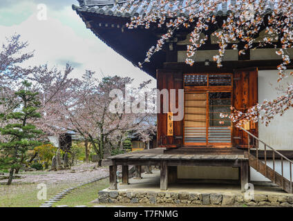 Nara, Japan - Apr 10, 2019. Cherry Blumen mit alten Gebäude in Nara, Japan. Nara ist die alte Hauptstadt von Japan, mit einer Menge von Erbschaften. Stockfoto