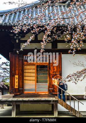 Nara, Japan - Apr 10, 2019. Cherry Blumen mit alten Gebäude in Nara, Japan. Nara ist die alte Hauptstadt von Japan, mit einer Menge von Erbschaften. Stockfoto