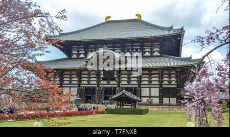 Nara, Japan - Apr 10, 2019. Alte buddhistische Tempel Todai-ji mit Cherry Blossom in Nara, Japan. Stockfoto