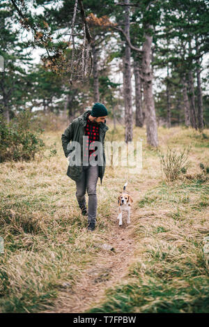 Der Mensch und seine Beagle in der Natur Stockfoto