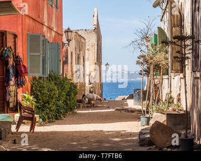 Goree, Senegal - Februar 2, 2019: das tägliche Leben, sandigen Weg auf die Insel Goree und Blick auf die Stadt Dakar Gorée. Dakar, Senegal. Afrika. Stockfoto