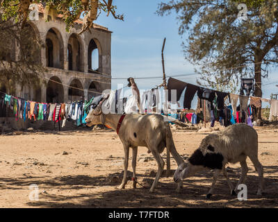 Goree, Senegal - Februar 2, 2019: das tägliche Leben auf der Insel Goree. Gorée. Dakar, Senegal. Afrika. Stockfoto