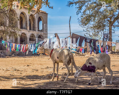 Goree, Senegal - Februar 2, 2019: das tägliche Leben auf der Insel Goree. Gorée. Dakar, Senegal. Afrika. Stockfoto