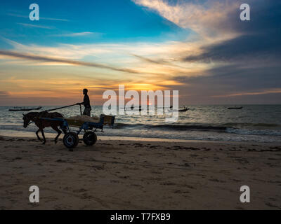 Nianing, Senegal - Januar 24, 2019: senegalesischen Junge reitet auf einem Wagen mit weißem Pferd am Strand, ein beliebtes Verkehrsmittel weg in Afrika Stockfoto