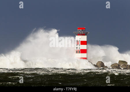 Große Wellen gegen den Leuchtturm an der Spitze der Seebrücke von Ijmuiden, Niederlande, während schwerer Sturm über der Nordsee. Stockfoto