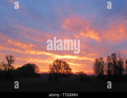 Sonnenuntergang über den Ooijpolder, Gelderland, Niederlande. Stockfoto