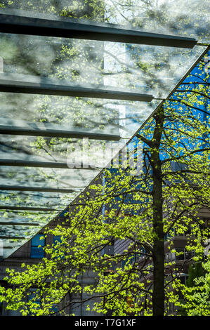 Zusammenfassung von sunliit Moderne klares Glas Gebäude Eingang Überhang mit Baum, Downtown City setting. Ansicht von unten. Stockfoto