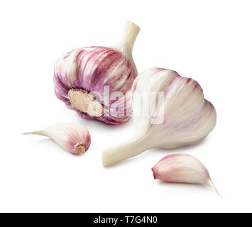 Frischer Knoblauch mit zwei Knoblauchzehen auf weißem Hintergrund Stockfoto