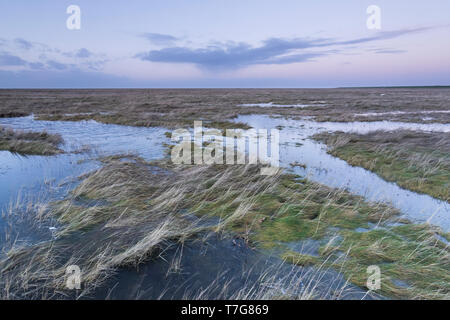 In der Nähe von Leuchtturm Westerhever Saltmarsh, im deutschen Wattenmeer. Stockfoto