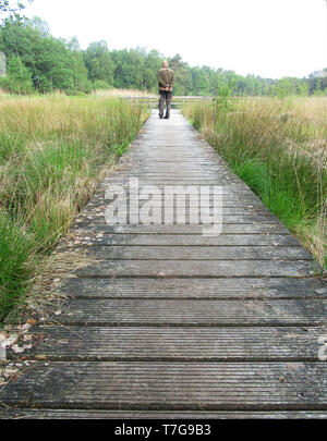 Natur Wanderer langsam zu Fuß auf einer Promenade in der Nähe von Delleboersterheide Oldeberkoop, Friesland, Niederlande. Mit den Händen auf dem Rücken gefaltet. Stockfoto