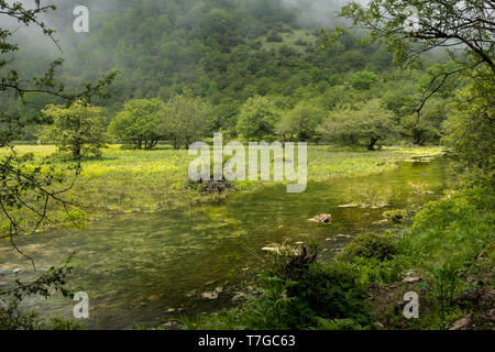 Eine großartige Landschaft mit Fluss und Dschungel und bewaldete Berg zusammen. Stockfoto