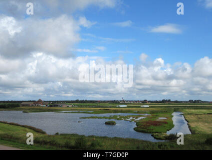 De Petten auf Watteninsel Texel, Niederlande. Eine kleine Wetland Reserve eine große Kolonie von Vögeln im Frühjahr und im Sommer. Stockfoto