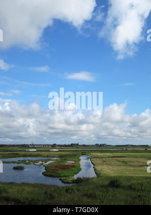 De Petten auf Watteninsel Texel, Niederlande. Eine kleine Wetland Reserve eine große Kolonie von Vögeln im Frühjahr und im Sommer. Wolken über der Wiese Stockfoto