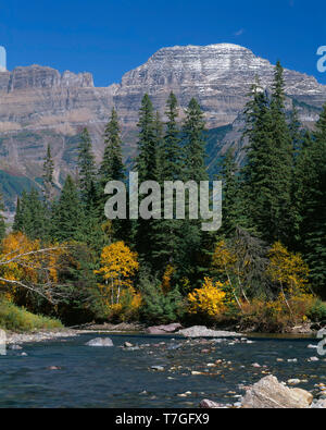 USA, Montana, Glacier National Park, Herbst Farbe am McDonald Creek mit Spitzenwerten von der Gartenmauer in der Ferne. Stockfoto