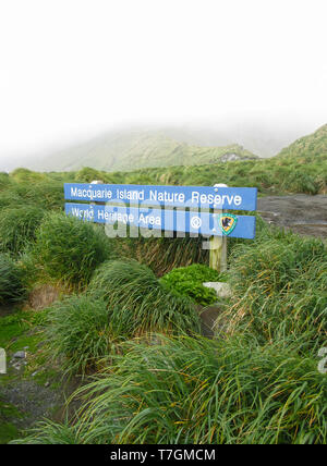 Eingangsschild auf Macquarie Island, einer abgelegenen Insel in der subantarktischen Region von Australien im südlichen Pazifischen Ozean. Stockfoto