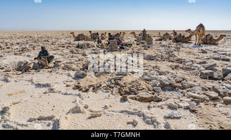 Salz Bergleute in der Salzwüste in der danakil Depression in Äthiopien arbeiten während der Wintersaison. Stockfoto
