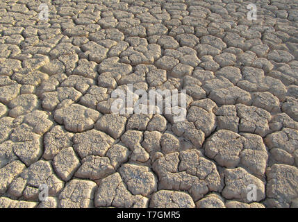 Ausgetrockneten Flussbett (WADI) in der Wüste Negev in Israel rund um das Tote Meer. Stockfoto