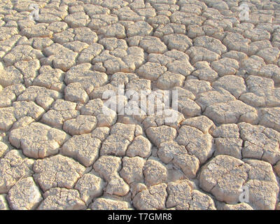 Ausgetrockneten Flussbett (WADI) in der Wüste Negev in Israel rund um das Tote Meer. Stockfoto