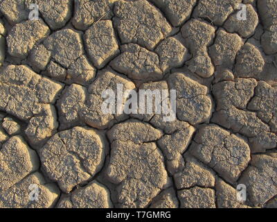 Ausgetrockneten Flussbett (WADI) in der Wüste Negev in Israel rund um das Tote Meer. Stockfoto