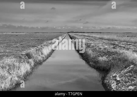 Flache landwirtschaftliche Flächen mit Entwässerung Deiche, East Norfolk. Stockfoto