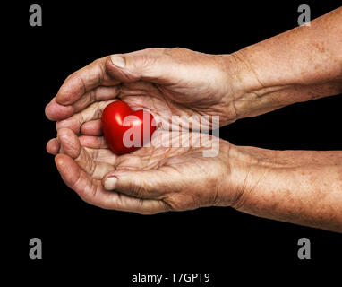 ältere Frau rotes Herz in ihre Handflächen isoliert auf weißem Hintergrund, Symbol der Liebe und Sorgfalt zu halten Stockfoto