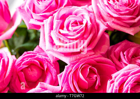 Hochzeit oder Valentinstag, Muttertag Karte. Schöne rosa Rosen Blumenstrauß close-up. Stockfoto