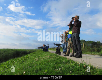 Gruppe der Vogelbeobachter gestrandet auf einem Deich am Rand des Nationalparks "Wieden" in Overijssel, Niederlande. Beobachten Wasservögel und wildlif Stockfoto