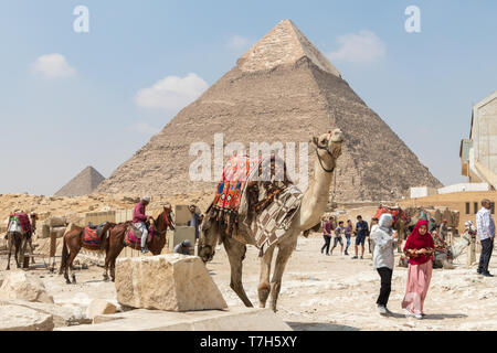 Gizeh, Ägypten - 19. April 2019: verziert Kamel wartet, die für einen Fluggast vor der Pyramide der Khafre, Ägypten Stockfoto