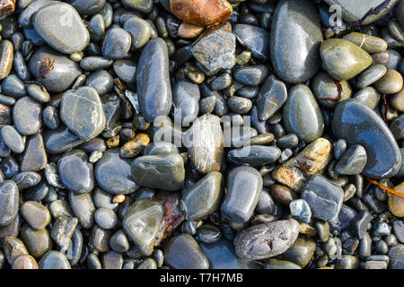 Nasse bunte Kieselsteine am Strand Stockfoto