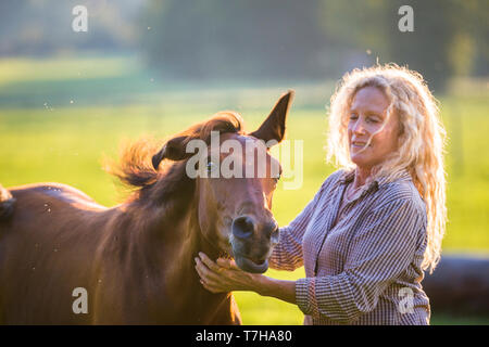 Iberischen Sport Pferd. Andrea Jaenisch Hätscheln eines bay Fohlen auf der Weide. Deutschland Stockfoto
