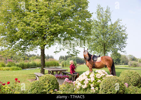 Iberischen Sport Pferd. Andrea Jaenisch Sitzen im Garten von Stud Weng, Holding bay Pferd am Zügel. Amerang, Bayern, Deutschland Stockfoto