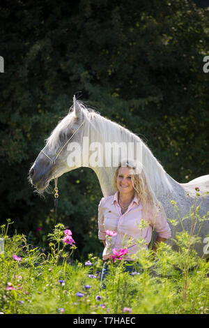 Alter Real. Schimmelhengst Hexeno mit Andrea Jaenisch stehen auf einer blühenden Wiese. Deutschland Stockfoto