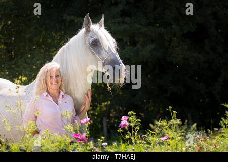 Alter Real. Schimmelhengst Hexeno mit Andrea Jaenisch stehen auf einer blühenden Wiese. Deutschland Stockfoto