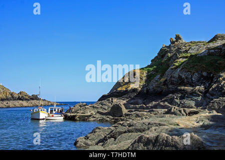 Fuß-Fähre nach Looe, Cornwall, von Polperro Stockfoto