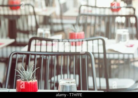 Rot Töpfe mit Sukkulenten auf hölzernen Tisch outdoor Street Cafe. Foto als Hintergrund verschwommen, defokussiertem Hintergrund Stockfoto
