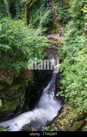 Aira tritt Wasserfall an der Aira Beck Fluss im Nationalpark Lake District, Cumbria, England, Großbritannien Stockfoto