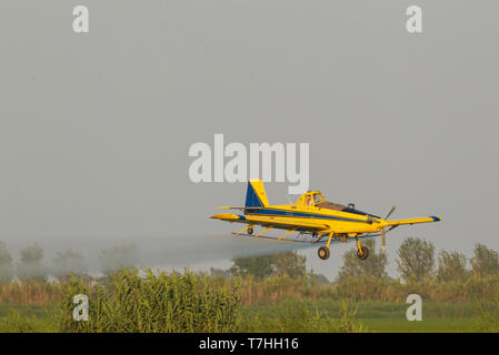 Crop duster plane flying low während des Spritzens eine Anti Moskito Substanz auf die Felder von Reis (Oryza sativa) und die umliegenden Feuchtgebiete. Stockfoto