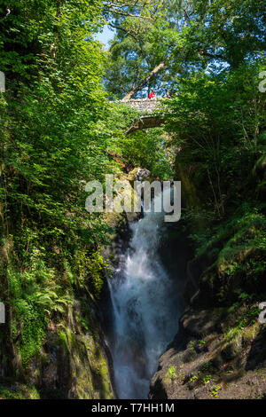 Aira tritt Wasserfall an der Aira Beck Fluss im Nationalpark Lake District, Cumbria, England, Großbritannien Stockfoto