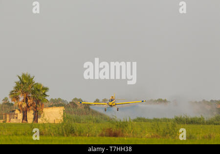 Crop duster Flugzeug sprühen Anti Moskito Substanz auf die Felder von Reis (Oryza sativa). Umgebung des Ebro-delta Natur, Katalonien, Spanien. Stockfoto