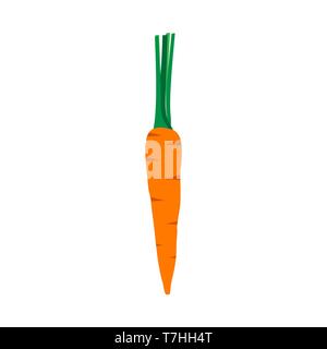Karotte orange natürliche Gesundheit vitamin Wirkstoff vektor Icon Ansicht von oben. Closeup farm pflanzliche Nahrung mit Blatt Stock Vektor