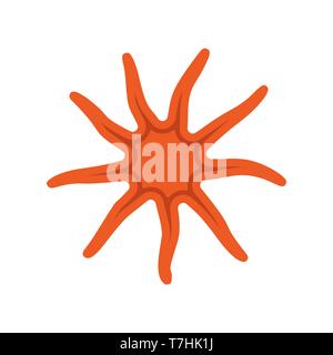 Seesterns meer Tier vektor Symbol marine Natur. Ozean aquatische Unterwasserwelt tropischer Sommer leben. Coral cartoon Design Stock Vektor