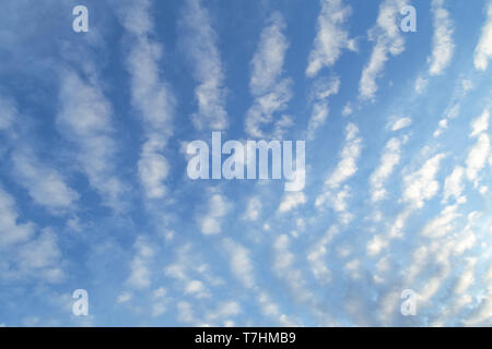Weiße Wolken und blauer Himmel. Schöne altocumulus undulatus Wolken mit blauem Himmel. Natur Hintergrund. Stockfoto
