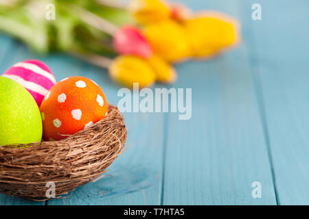 Bunte Ostereier im Osternest mit Tulpen auf Blau Holz- Hintergrund Stockfoto