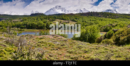 Panorama einer Schilf gesäumten Gletschersee, der in das Flusstal des Rio Ibanez, Cerro Castillo Nationalpark, Aysen, Chile. Stockfoto