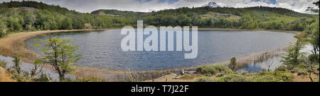 Panorama einer Schilf gesäumten Gletschersee Entwässerung in das Flusstal des Rio Ibanez, Cerro Castillo Nationalpark, Aysen, Chile. Stockfoto