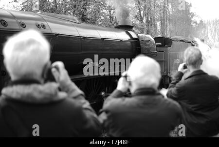 EDS HINWEIS ZU SCHWARZ UND WEISS die Flying Scotsman von Kollegen Dampflok Mayflower geschleppt, da sie Metheringham station in Lincolnshire auf ihrer Reise von London nach York umgewandelt. Stockfoto