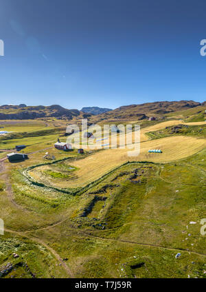 Landwirtschaft, Qassiarsuk oder Brattahlid, Südgrönland Stockfoto