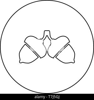 Zwei acorn Symbol im Kreis runde Kontur schwarz Vector Illustration Flat Style simple Image Stock Vektor