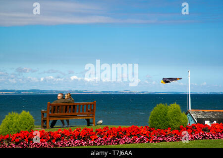 Ein Paar setzte sich auf eine Holzbank, St Andrews, St Andrews Bay, s, Fife, Schottland, Großbritannien. Stockfoto