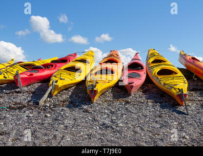 Reihen von Kajaks zog auf einen Kiesstrand nach einem Tage paddeln Stockfoto